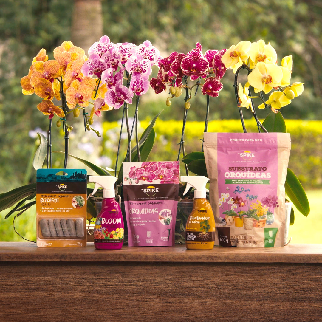 KIT ORQUÍDEAS